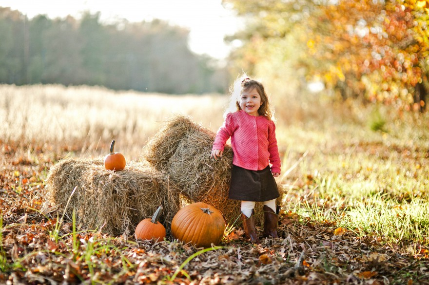 pumpkin patch photographer nc