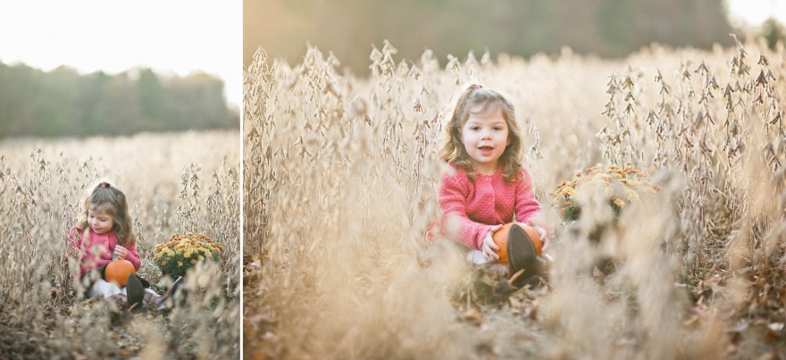 soybean field toddler photographer child