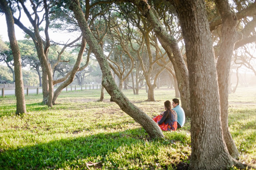 fort fisher trees