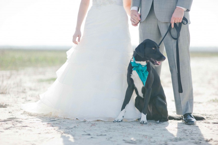 dog as flower girl wrightsville beach wedding