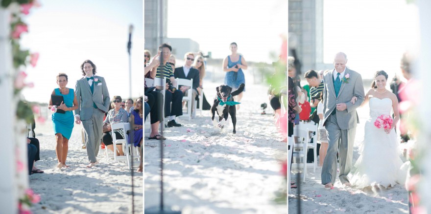 dog bride groom processional wrightsville wedding