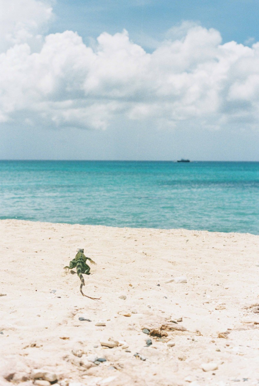 aruba malmok beach wedding