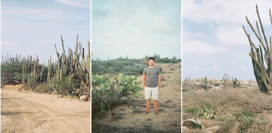 aruba cactus wedding