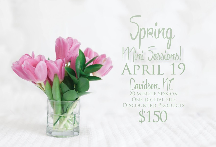 spring mini session charlotte nc