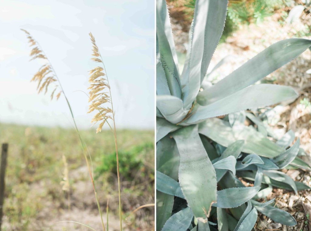 aloe beach dune wedding nc wilmington