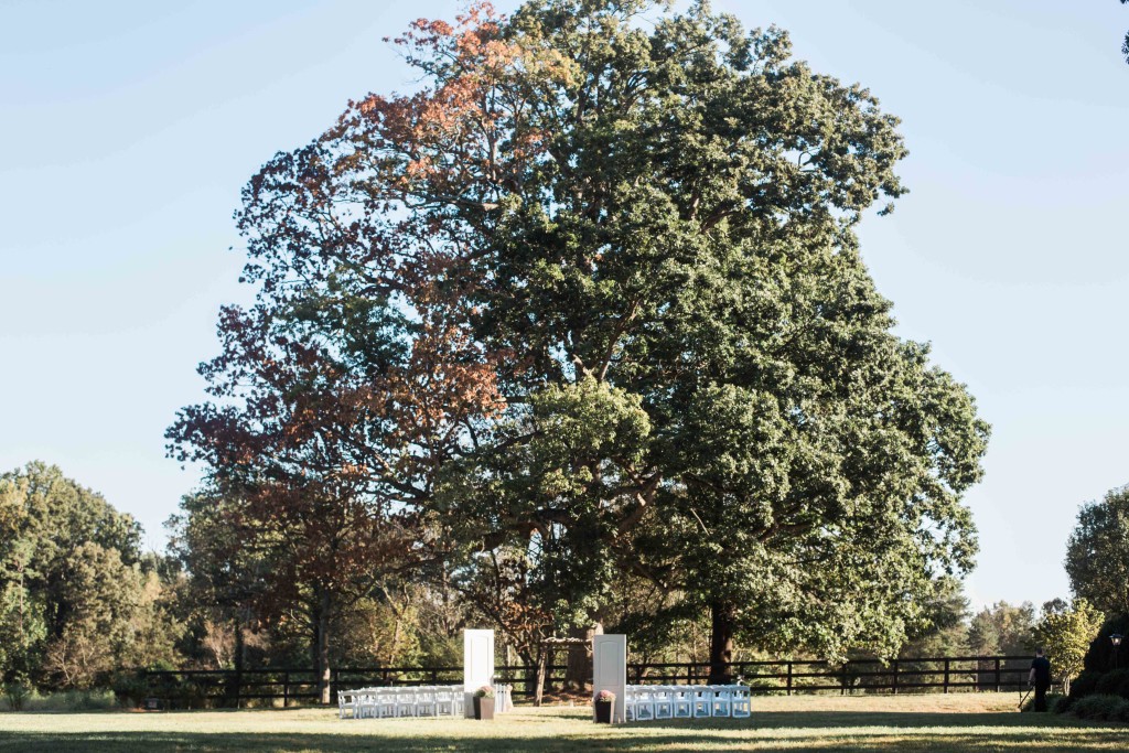 ceremony in front of big tree charlotte statesville nc