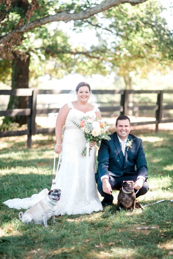 wedding portrait with pugs dogs charlotte nc