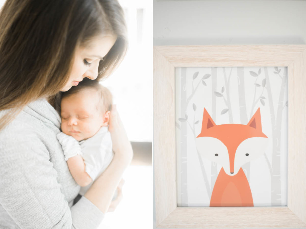 fox themed nursery