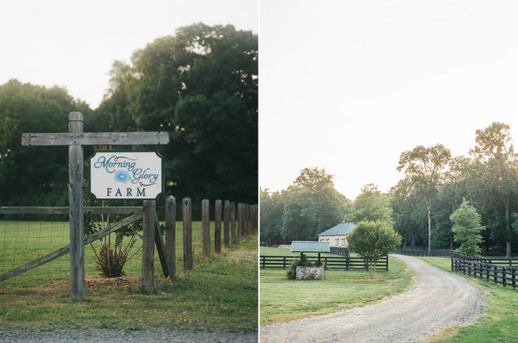 morning glory farm engagement session