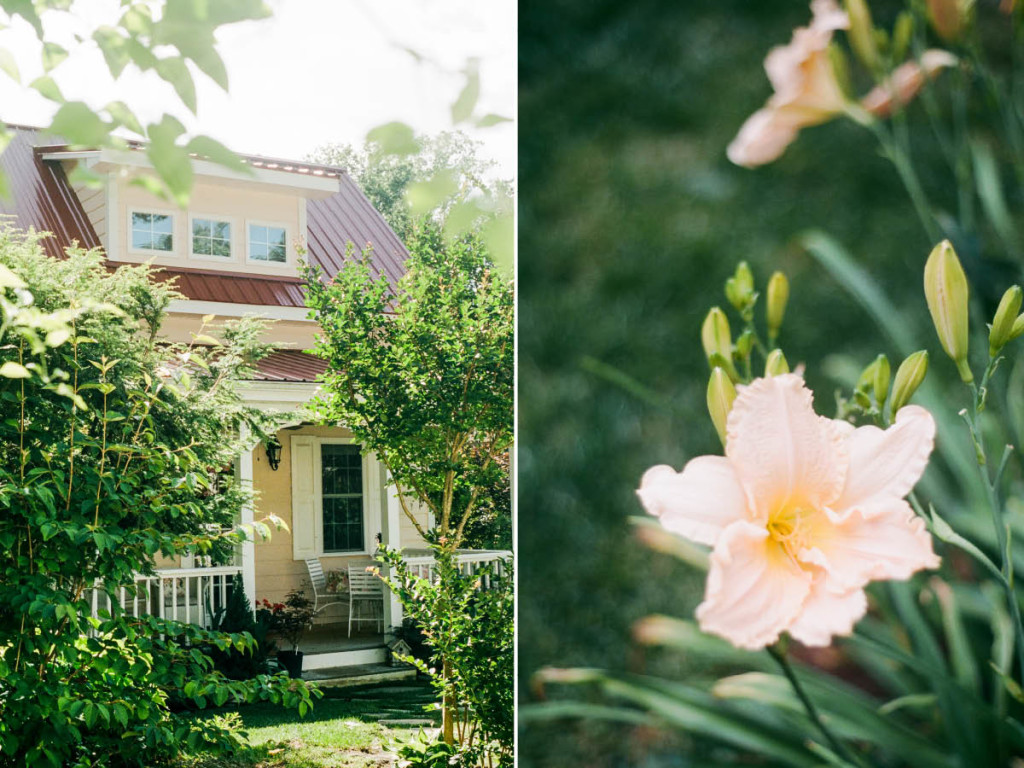 black mountain cottage airbnb