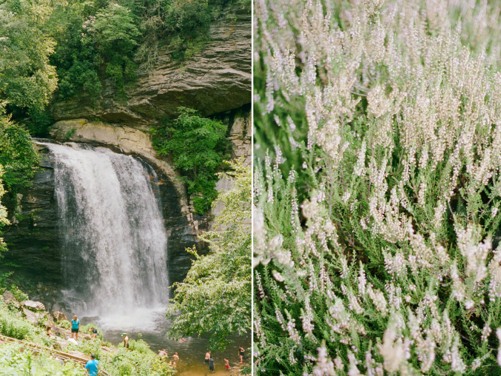 looking glass falls asheville nc