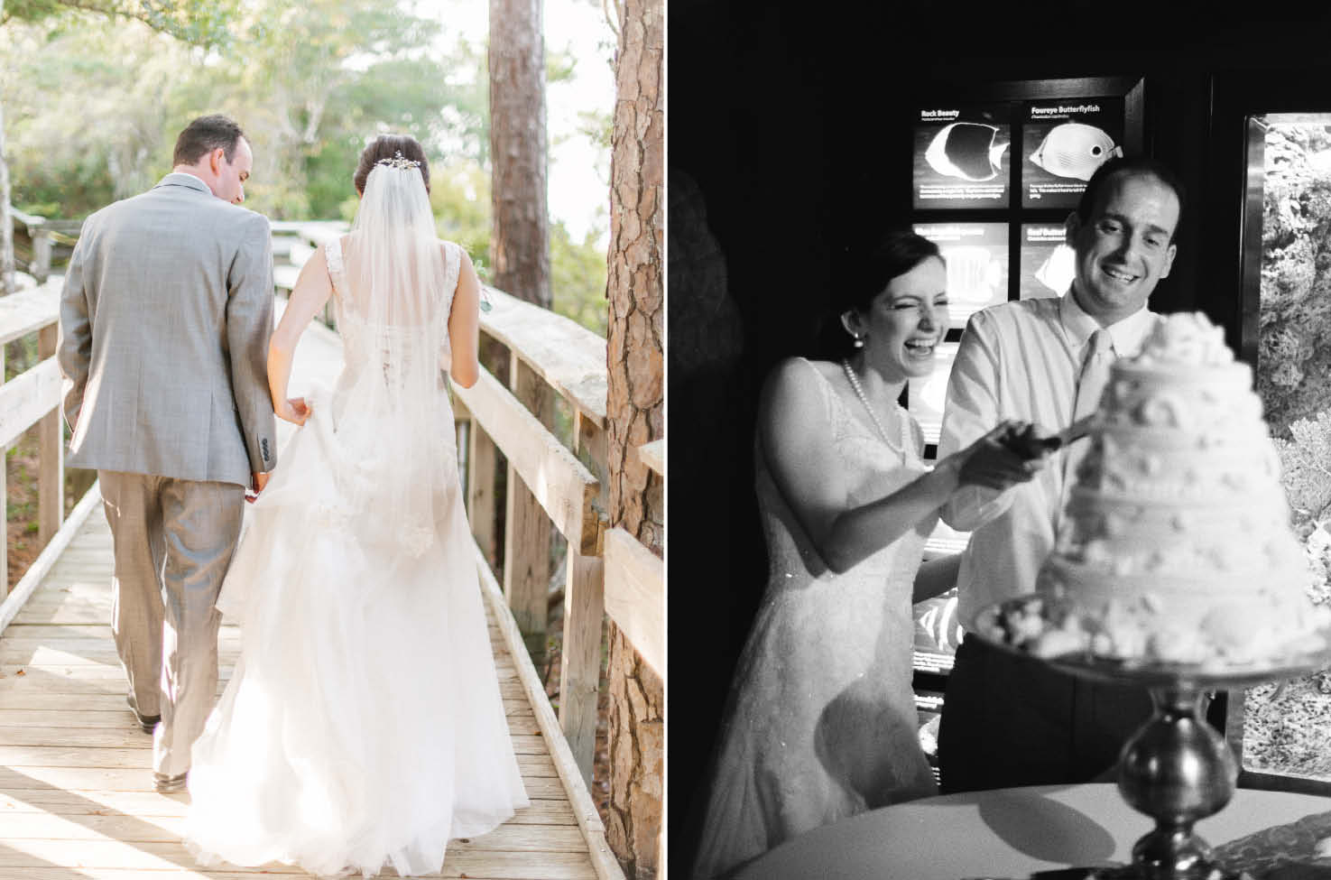 cake cutting pine knoll shores wedding