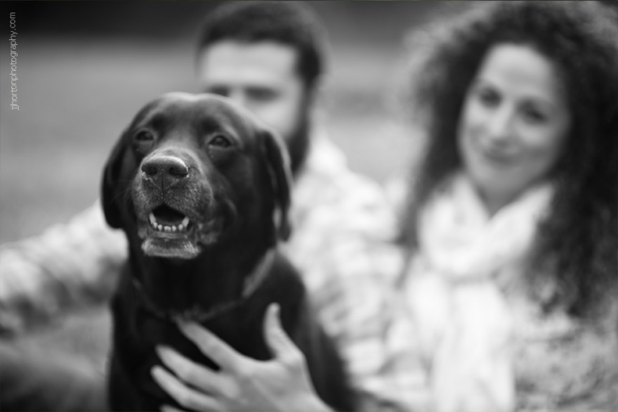 dog engagement session